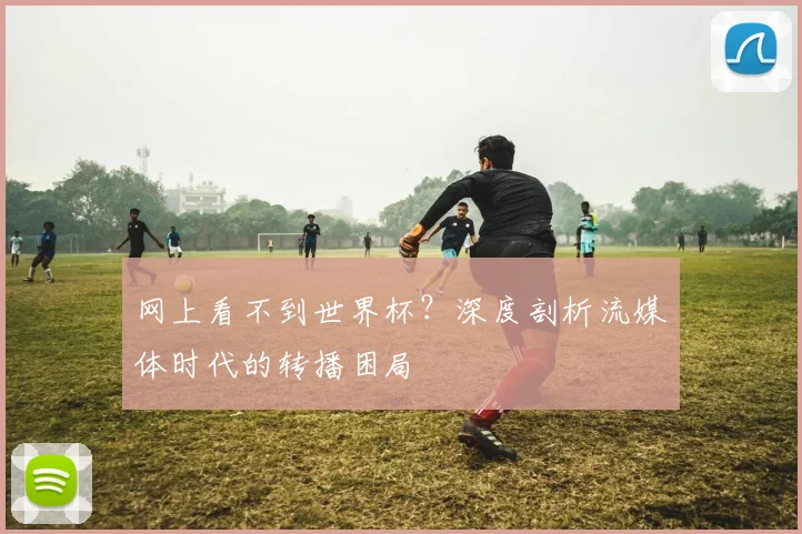 网上看不到世界杯？深度剖析流媒体时代的转播困局
