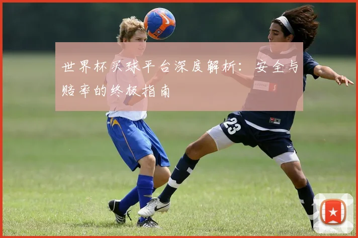 世界杯买球平台深度解析：安全与赔率的终极指南